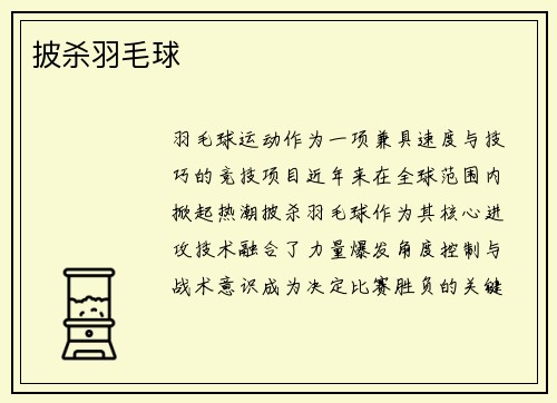 披杀羽毛球