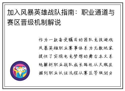 加入风暴英雄战队指南：职业通道与赛区晋级机制解说